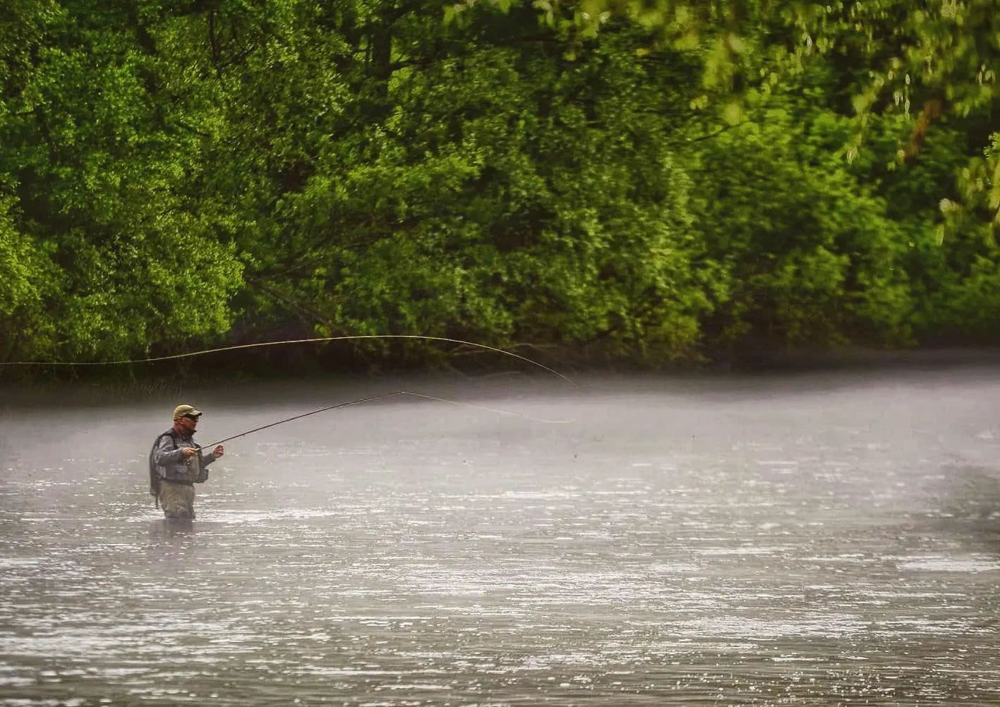 A fisherman casting a fly line on a misty river surrounded by forest