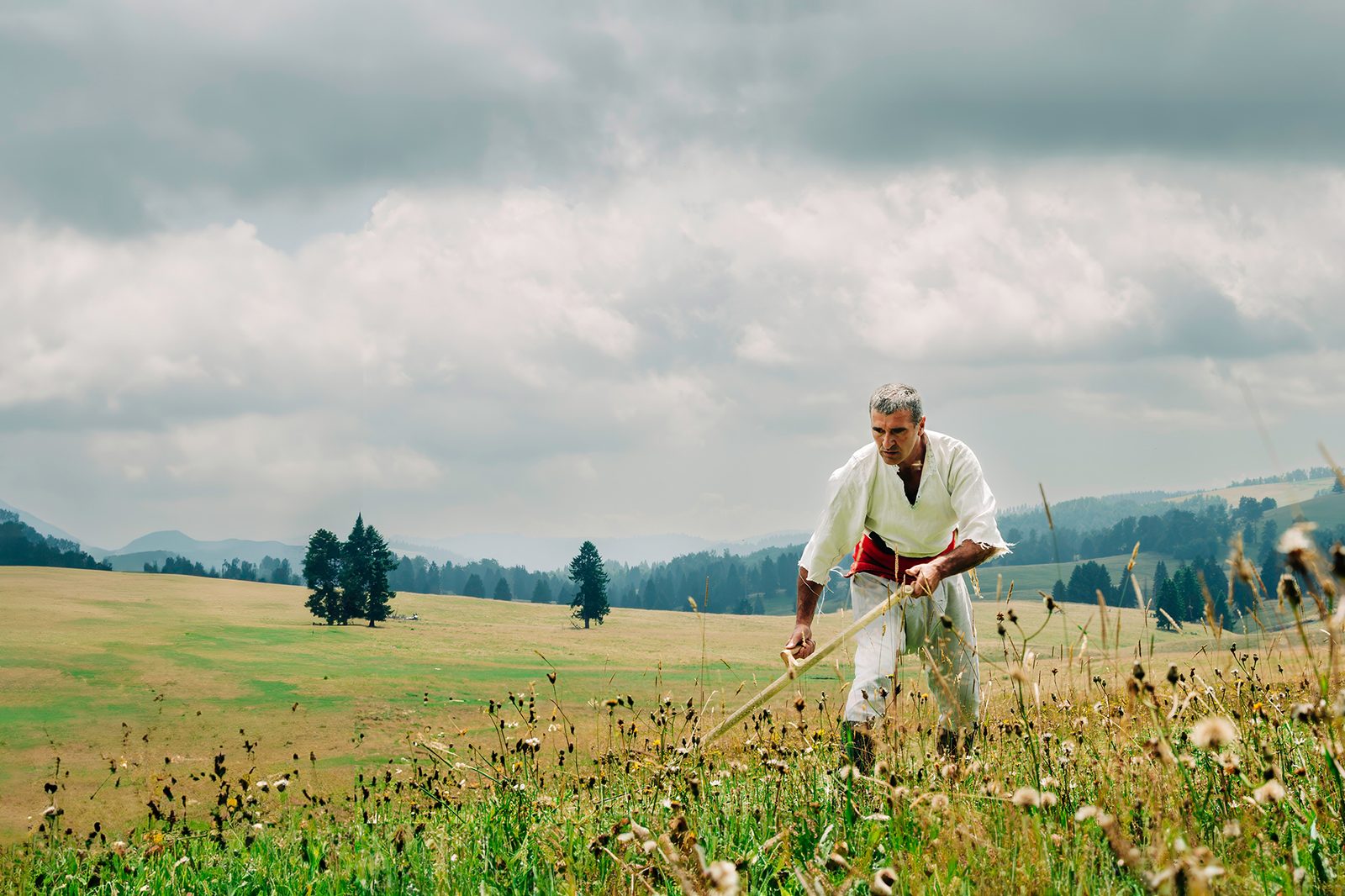 A man in folk dress mows grass on a mountain meadow