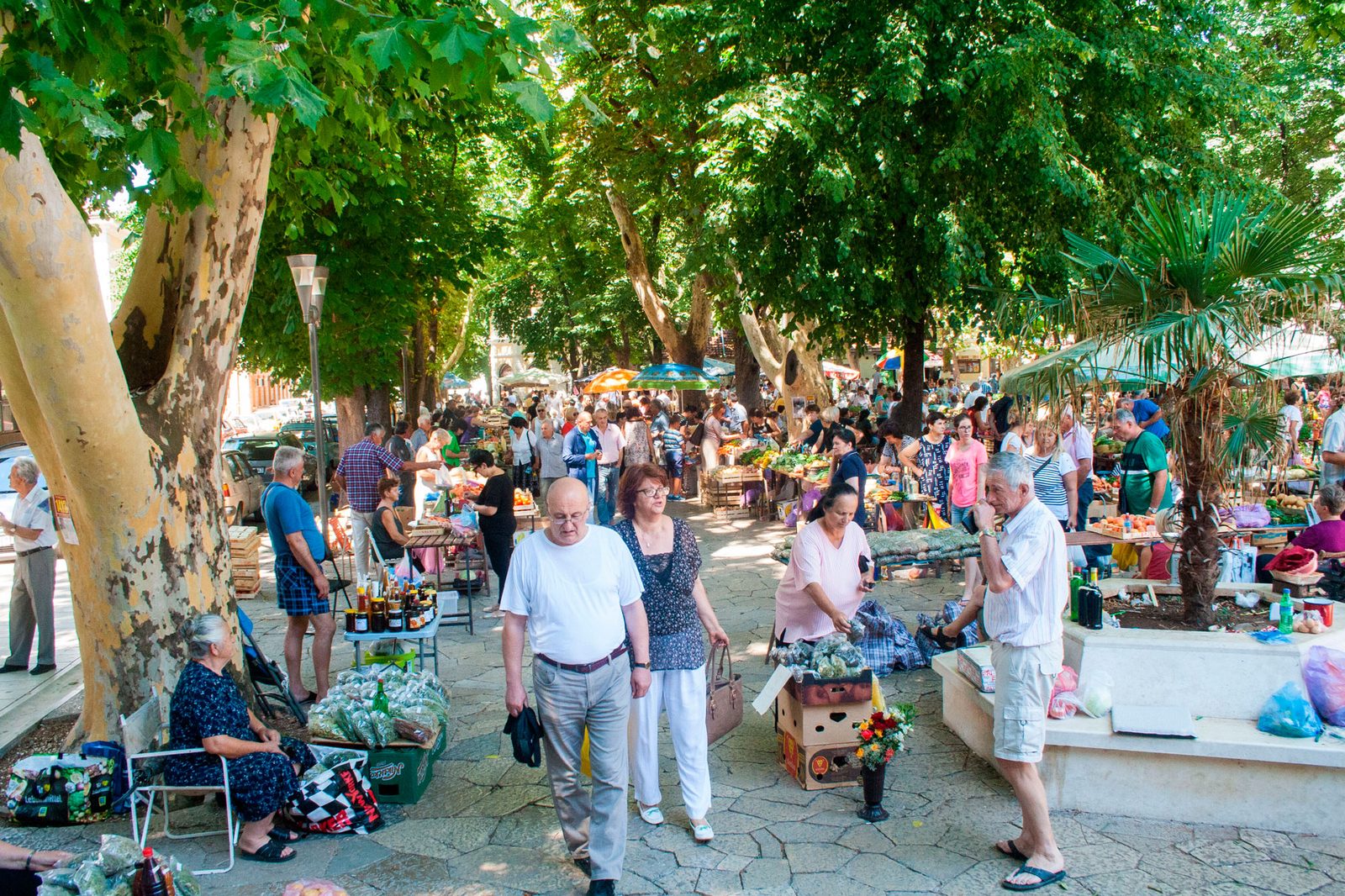 Živa lokalna pijaca u hladu stabala