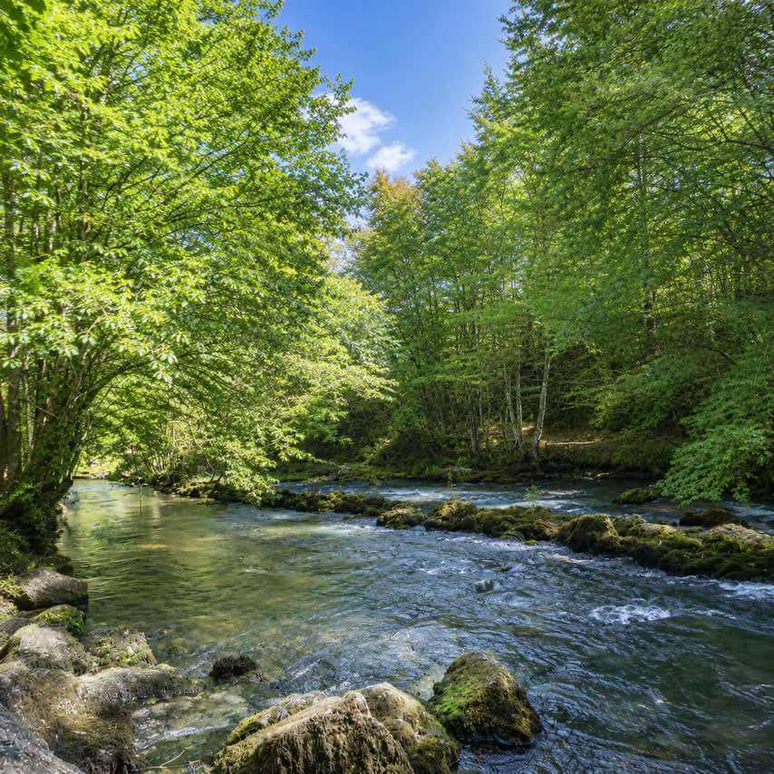 The source of the Pliva River in Sipovo, water running over mossy stones in the forest