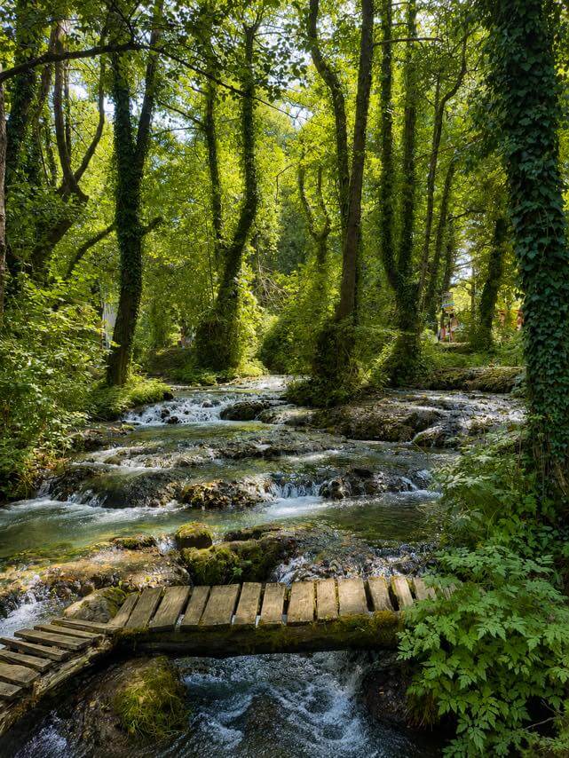 A wooden footbridge over a shallow stream in the forest at the Janj islets