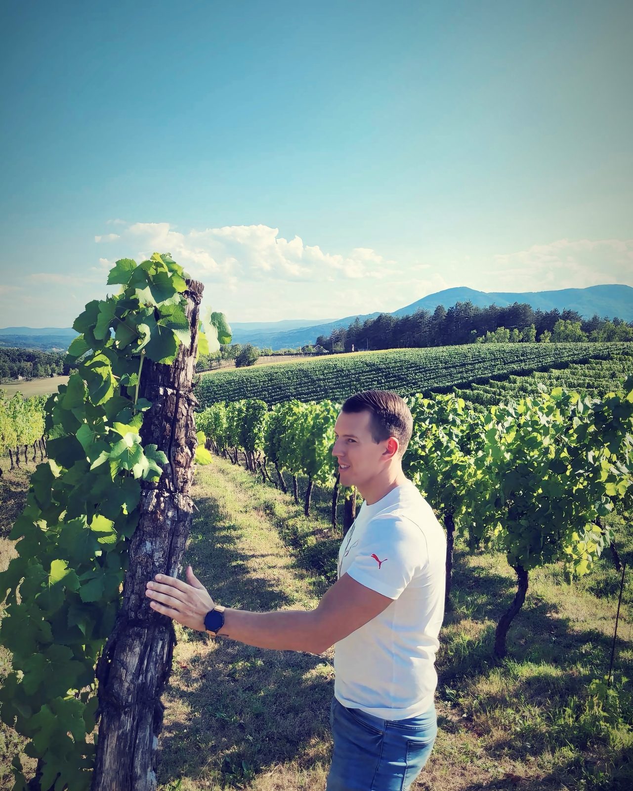Autor u lokalnom vinogradu, alternativni oblik odmora